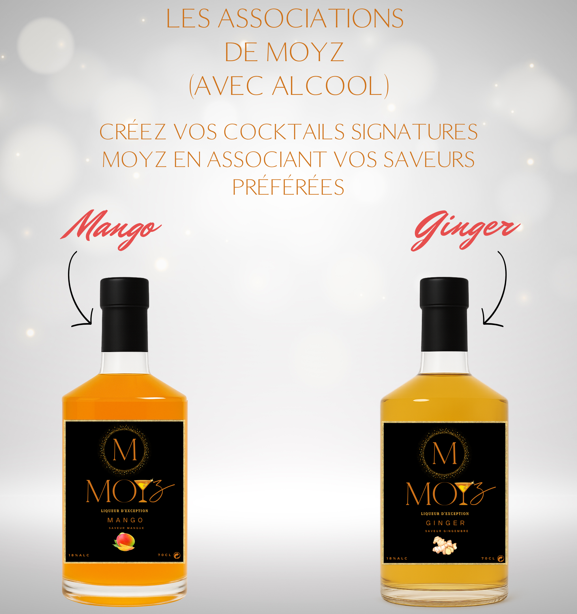 Mix & Match by MOYZ - MANGO & GINGER // Liqueur de Mangue et Liqueur de Gingembre